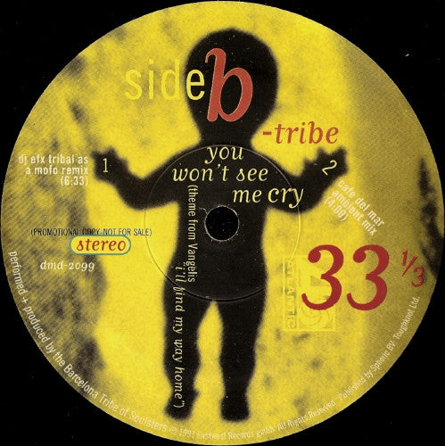B-Tribe : You Won't See Me Cry (Remixes) (12", Promo)
