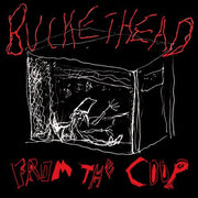 the album cover for Buckethead - From the Coop