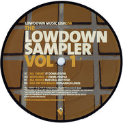 Various : The Lowdown Sampler Vol 1 (12", Smplr)