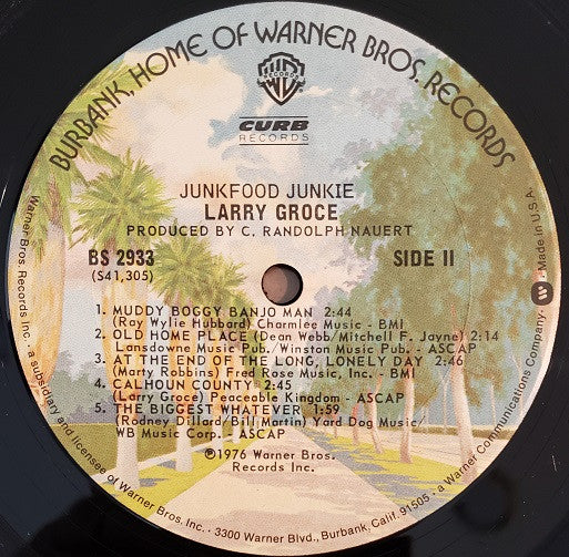 Larry Groce : Junkfood Junkie (LP, Album, Pit)