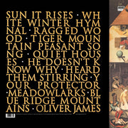 Fleet Foxes : Fleet Foxes (LP, Album + 12", EP + Gat)