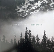 After The Burial : Evergreen (LP, Album, Ltd, Gre)