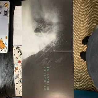 After The Burial : Evergreen (LP, Album, Ltd, Gre)