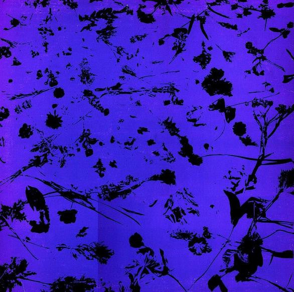 Prince : When Doves Cry (12", Promo)