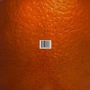 Emotional Oranges : The Juice Vol. 1 (LP, Album)