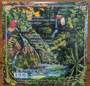 Stick Figure (2) : World On Fire (2xLP, Album, Gat)
