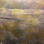 Strand Of Oaks : Leave Ruin (LP, Ltd, RE, Gre)