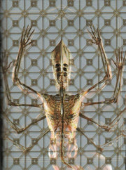 Tool (2) : Fear Inoculum (CD, Album, Exp)