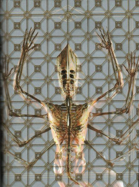 Tool (2) : Fear Inoculum (CD, Album, Exp)