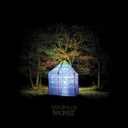 the album cover for Dan Deacon - Bromst