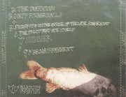 Modest Mouse : The Fruit That Ate Itself (CD, EP)