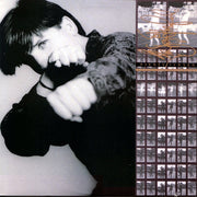 Pierce Turner : The Sky And The Ground (LP, Album)