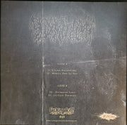 Sedimentum : Demo (12", Ltd, Num, RE, RP, Gre)