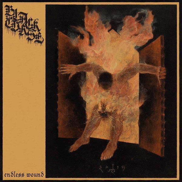Black Curse (2) : Endless Wound (LP, Album)
