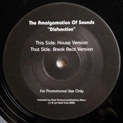 The Amalgamation Of Soundz : Disfunction (12", Promo)