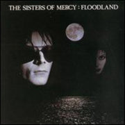 the album cover for The Sisters Of Mercy - Floodland