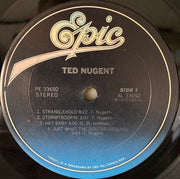 Ted Nugent : Ted Nugent (LP, Album, RE, San)