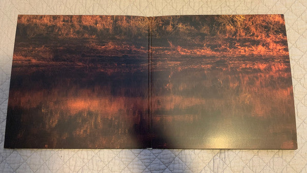 Post Malone : Hollywood's Bleeding (2xLP, Album, Ltd, Gre)