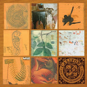 the album cover for Califone - All My Friends Are Funeral Singers