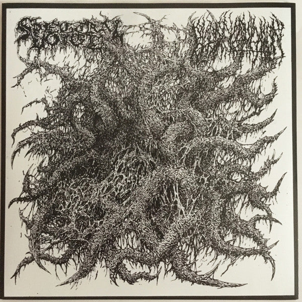 Spectral Voice / Blood Incantation : Spectral Voice / Blood Incantation (7", RP)