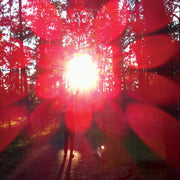 the album cover for Russian Circles - Empros