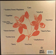 beabadoobee : Fake It Flowers (LP, Album)