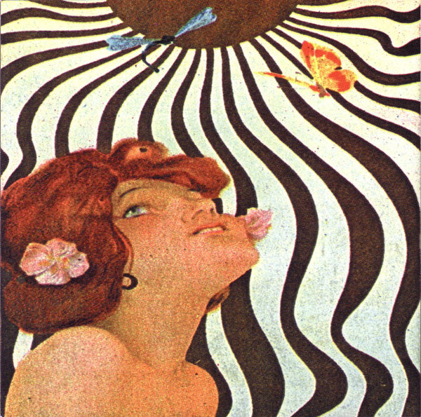 Zen Guerrilla : Shadows On The Sun (CD, Album)