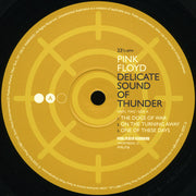 Pink Floyd : Delicate Sound Of Thunder (3xLP, Album, RE, 180)