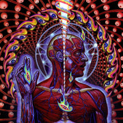Tool (2) : Lateralus (HDCD, Album, RE, Pla)
