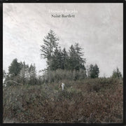 the album cover for Damien Jurado - Saint Bartlett