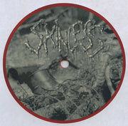 Skinless : Foreshadowing Our Demise (LP, Album, Red)