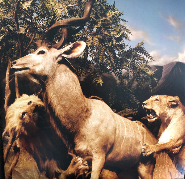 Interpol : Our Love To Admire (2xLP, Album, RE, GZ )