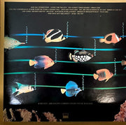 Stevie Wonder : Stevie Wonder's Original Musiquarium I (2xLP, Comp, Mot)