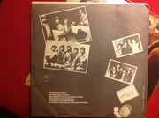 Nitty Gritty Dirt Band : Plain Dirt Fashion (LP, Album)