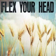 the album cover for Flex Your Head - Flex Your Head