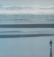 Fleet Foxes : Shore (CD, Album)