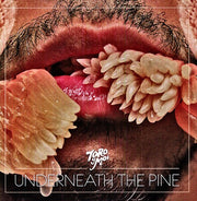 the album cover for Toro Y Moi - Underneath the Pine