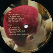 Sonic Youth : Battery Park, NYC July 4th 2008 (LP, Ltd)