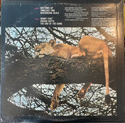 Peter Green (2) : The End Of The Game (LP, Album, Pit)
