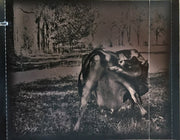 Tool (2) : Undertow (CD, Album, RE)