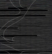 the album cover for Oneida - Absolute II