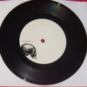 Shadows Fall : To Ashes (7")