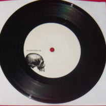 Shadows Fall : To Ashes (7")