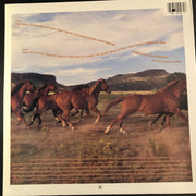 Janie Frickie* : Saddle The Wind (LP, Album)