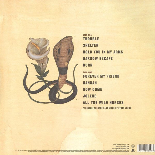 Ray Lamontagne : Trouble (LP, Album, RE, 180)