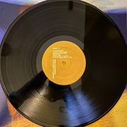 Mat Kearney : January Flower (LP, Album)