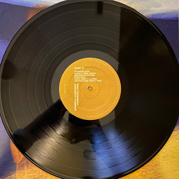 Mat Kearney : January Flower (LP, Album)