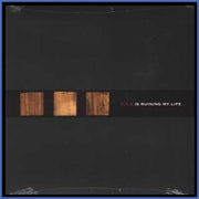 P.O.S. (3) : P.O.S Is Ruining My Life (12")