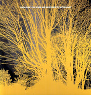 the album cover for Nada Surf - The Stars Are Indifferent To Astronomy