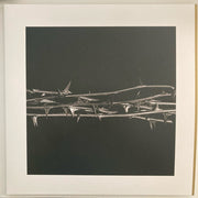 Amenra : De Doorn (2xLP, Album, Gol)